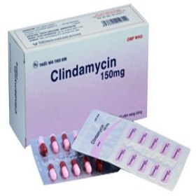 [object object] Home Clindacin 150mg