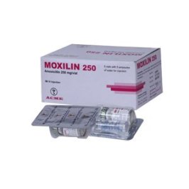 [object object] Home Moxilin 250 mg