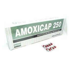 [object object] Home Amoxicap 250mg